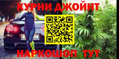 сатива Будённовск