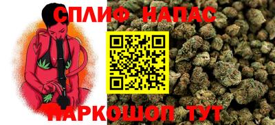сатива Будённовск