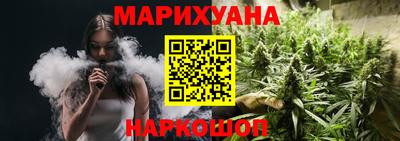 сатива Будённовск