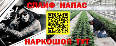 сатива Будённовск